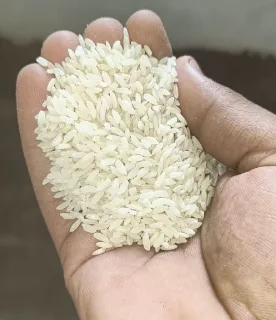 Nati Rice