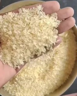 Swarna Parboiled Rice - Food & Beverages supplier, exporter & wholesale manufacturer