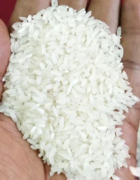 Swarna Raw Rice - Food & Beverages supplier, exporter & wholesale manufacturer