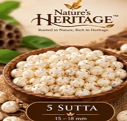 5 Suta Makhana