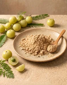 Amla Dehydrated Powder - Food & Beverages supplier, exporter & wholesale manufacturer
